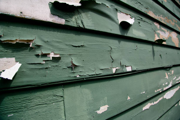Trusted Manchester, MI Junk Removal Experts